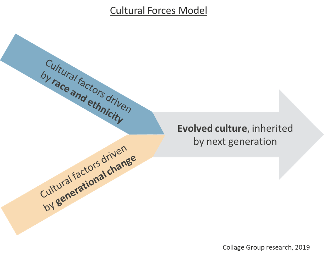 Cultural Forces Model chart